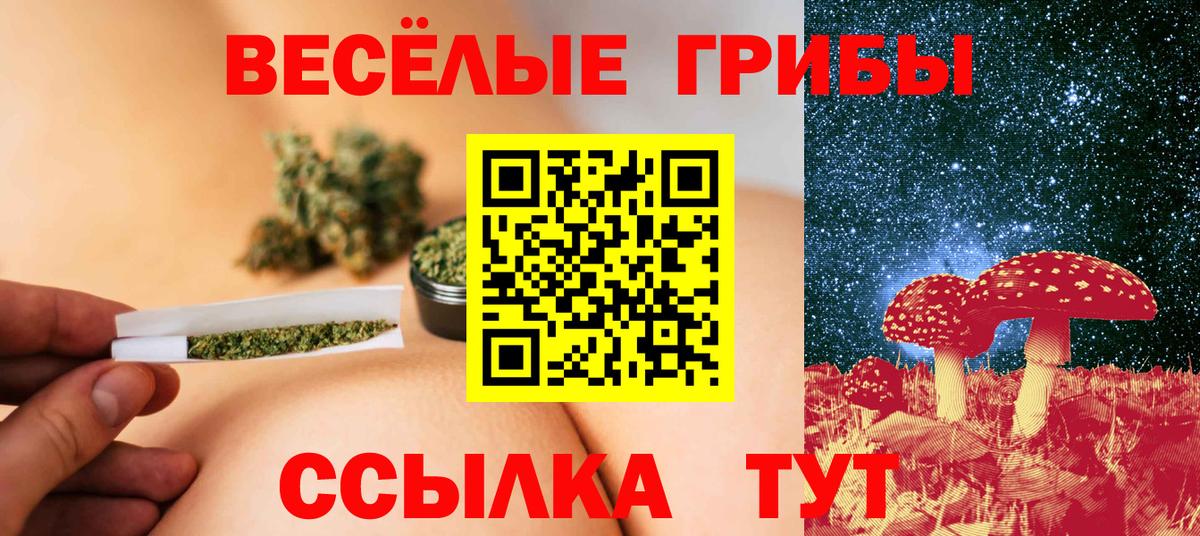Кимры  где купить наркоту  Вход с VPN  Галлюциногенные грибы Cubensis 