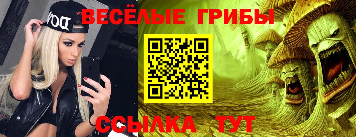 Псилоцибиновые грибы мухоморы Кимры